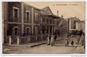 MOSTAGANEN - LE TRIBUNAL      N°51