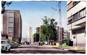 MOSTAGANEM-L´Avenue Maréchal Pelissier  (2 SCAN)- cpsm COLORISEE,format cpa,écrite en 1960