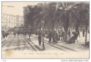 130 -- ORAN -- Palmiers de la Place d'Armes -- ND