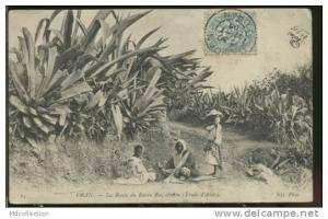 ALGERIE ORAN /  La route du Ravin Raz El Aïn