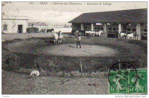 AFRIQUE. ALGERIE. ORAN. Caserne des Chasseurs. Vue sur L'Exercice de Voltige.