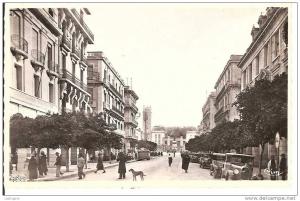 CPA-afrique-algérie-oran-   mostaganem-ville-avenue   1er de ligne-1960