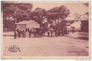 ORAN - Domaine de l'Arena