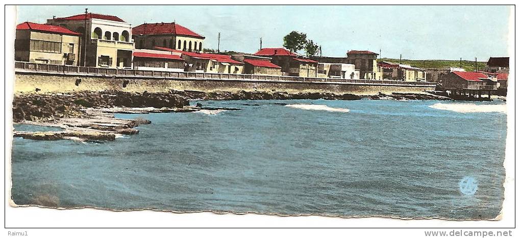 MOSTAGANEM -algerie -la salamandre -le boulevard  _______6070