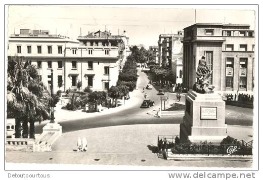 ALGERIE MOSTAGANEM avenue du 1er premier de ligne 1961