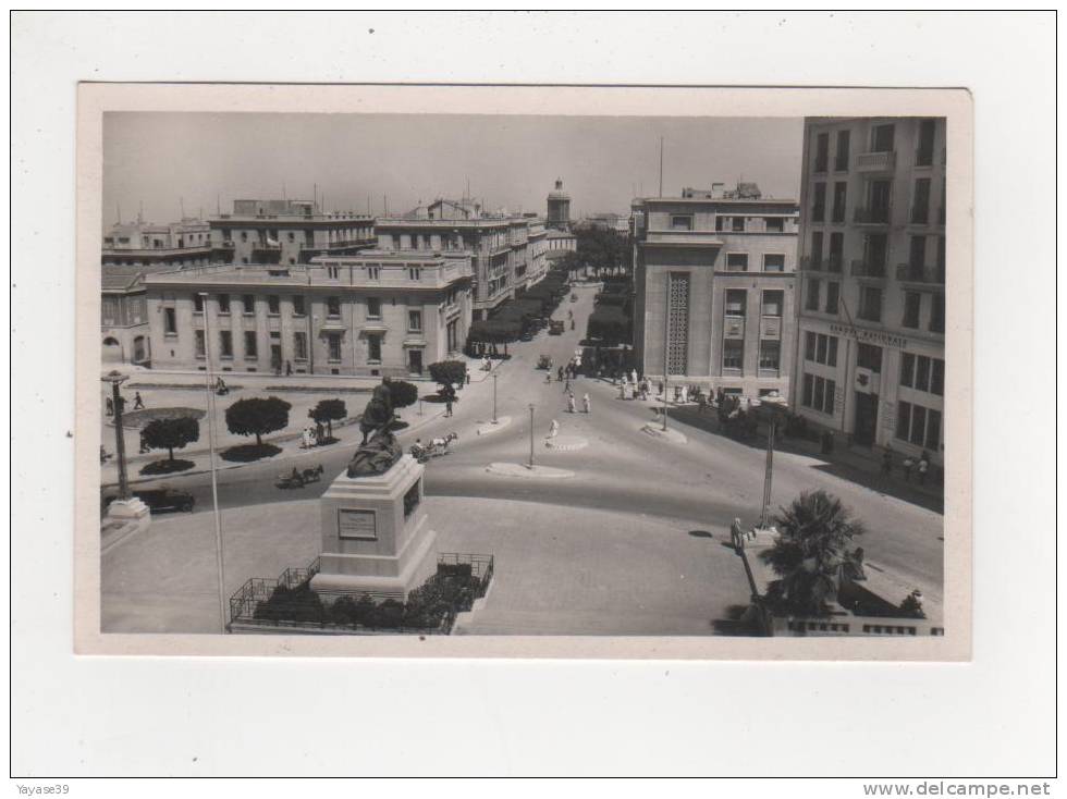 Algérie Mostaganem N° 7 Avenue du 1er de ligne animée immeubles voitures jeep charette ânes belle carte