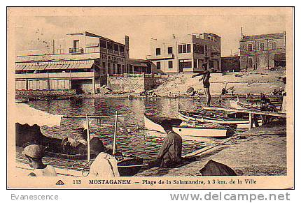 ALGERIE MOSTAGANEM PLAGE DE LA SALAMANDRE REF5131