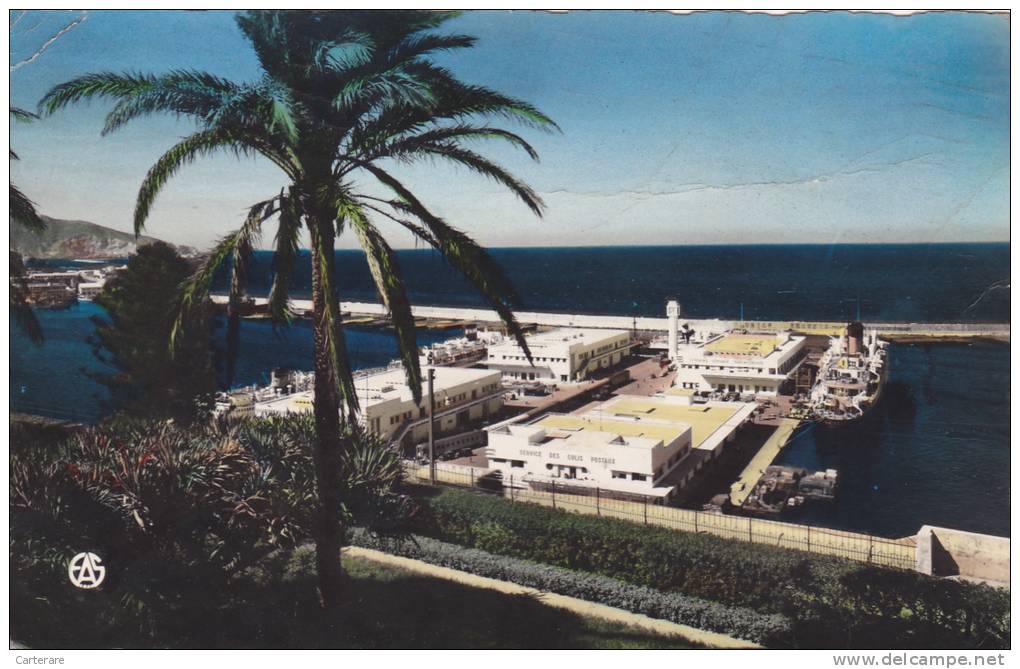 AFRIQUE DU NORD,ALGERIA,ALGERIE,ORAN ,IL Y A 35 ANS,ORANIE,MAGHREB,PLAGE, MER,TENTE,LA RADIEUSE