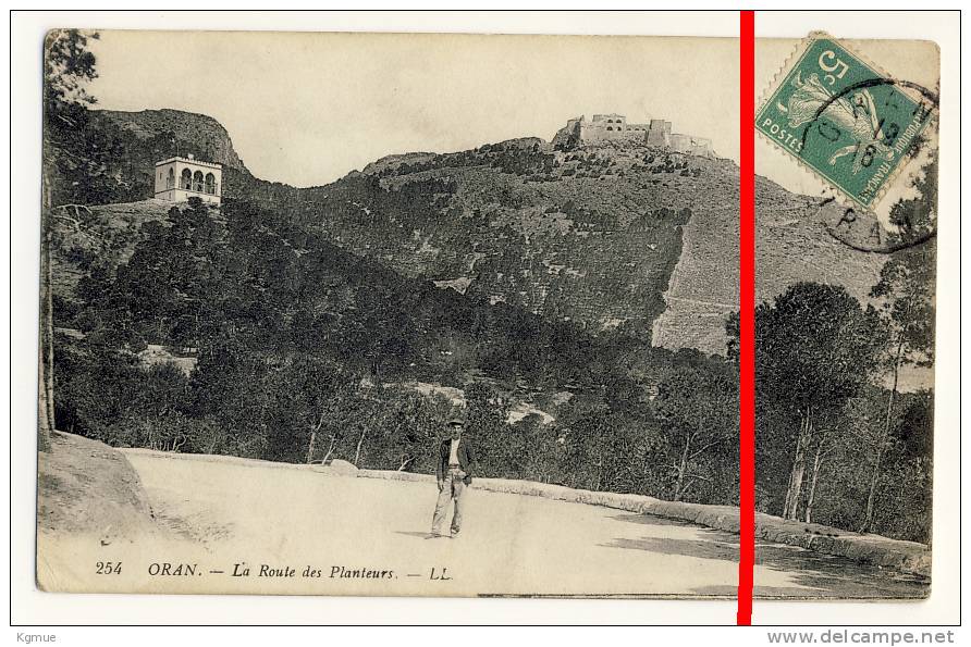 PostCard - Oran - La Route des Planteurs - 1914