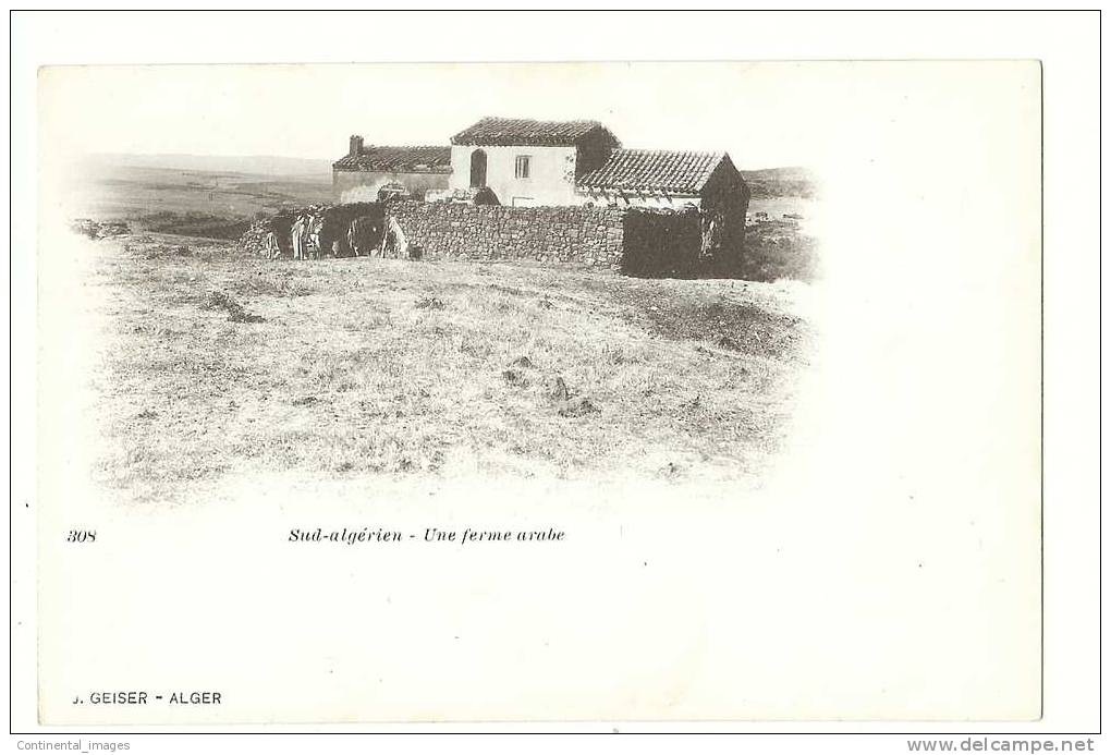 SUD ALGERIEN/ UNE FERME ARABE/ RARE