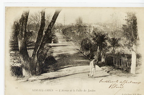 SIDI BEL ABBES - AVENUE DE LA VALLEE DES JARDINS