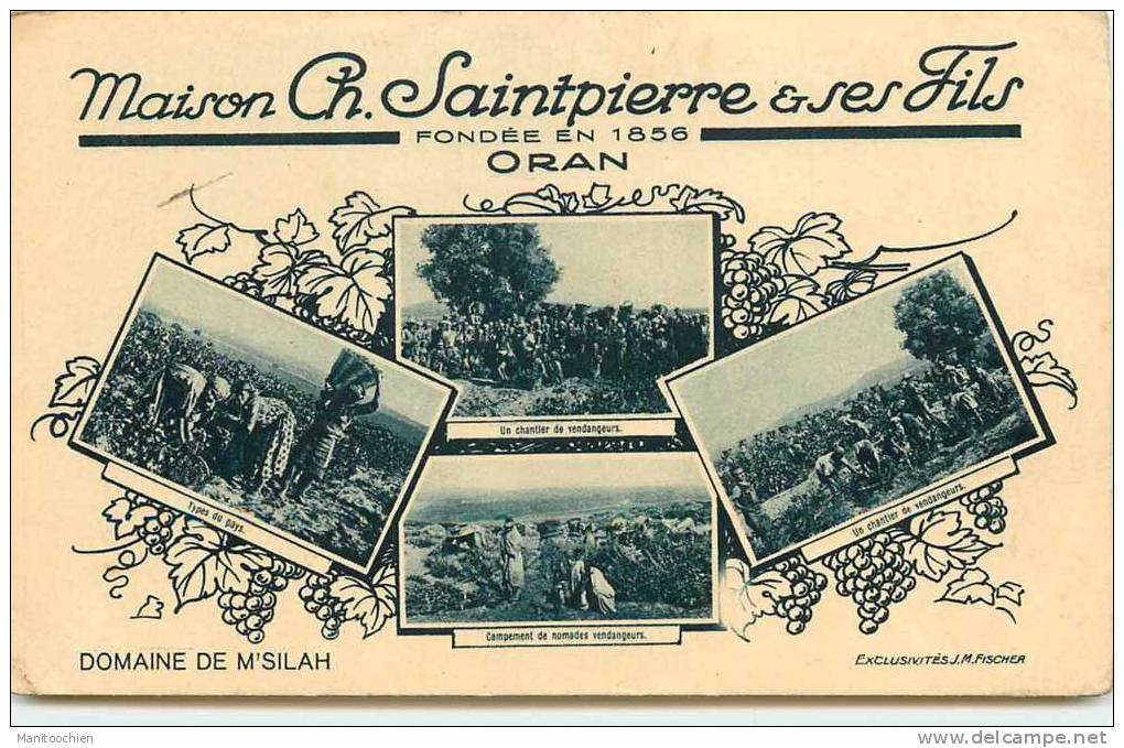 ALGERIE ORAN 2 CARTES PUBLICITAIRE POUR MAISON CH. SAINTPIERRE ET FILS VIN VIGNE VENDANGE