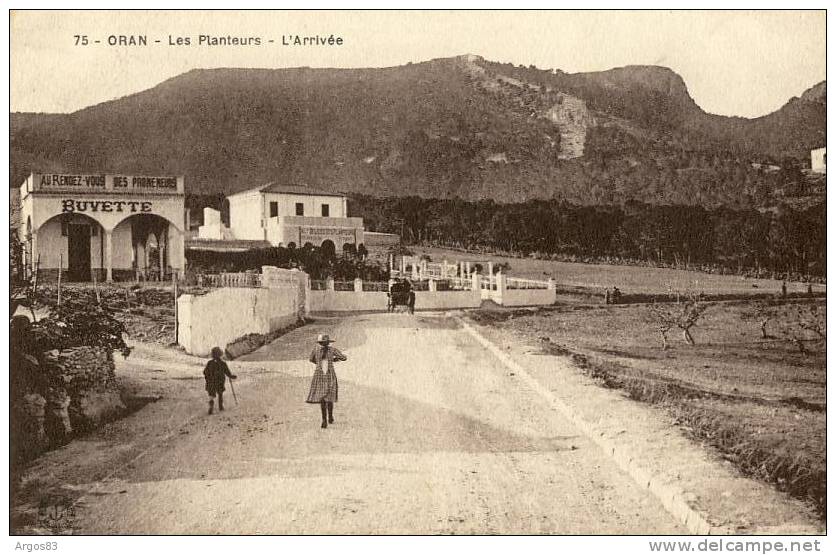 ALGERIE - ORAN - Les Planteurs - Restaurant