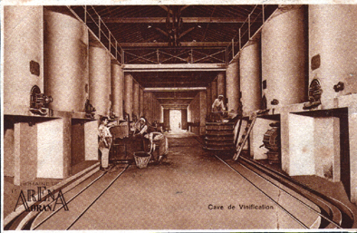 ALGERIE.Oran.3 cartes Domaine de l´Arena ( viticulture / vigne / vin ).