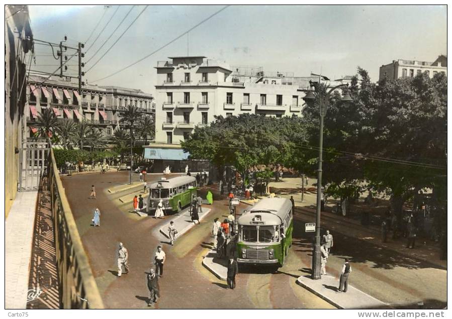 AFRIQUE - ORAN - Place Foch - Autobus