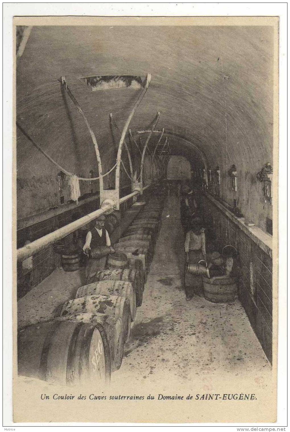 ORAN      -      Un Couloir des Cuves souterraines du Domaine de Saint Eugène.(Thème vin)Seneclauze Viticulteur.