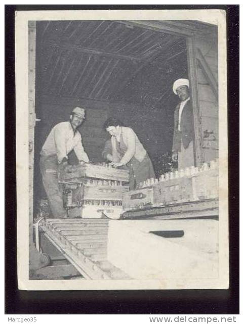 oran verreries de l´afrique française du nord la sénia édit.baconnier franchise militaire industrie