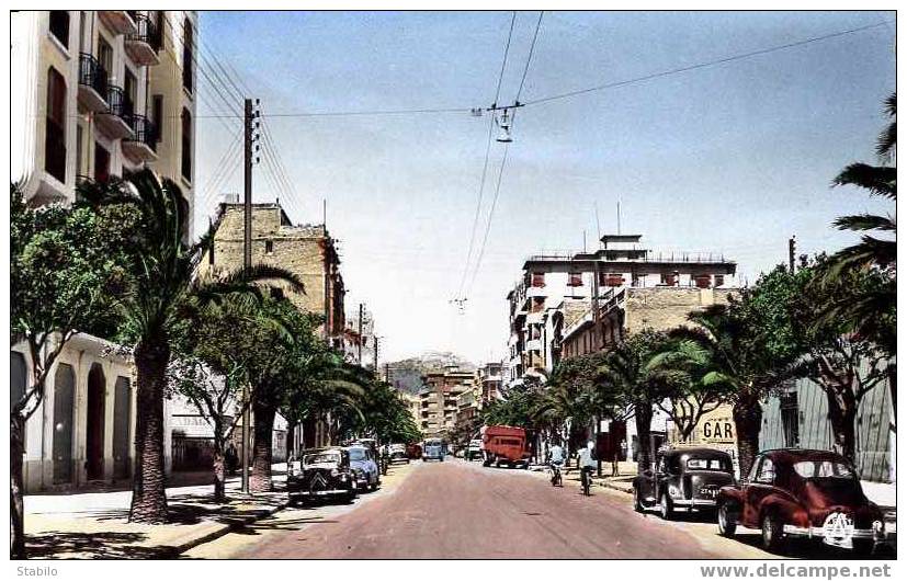 ALGERIE - ORAN - BOULEVARD HIPPOLYTE GIRAUD - AUTOS, TRACTION, 203