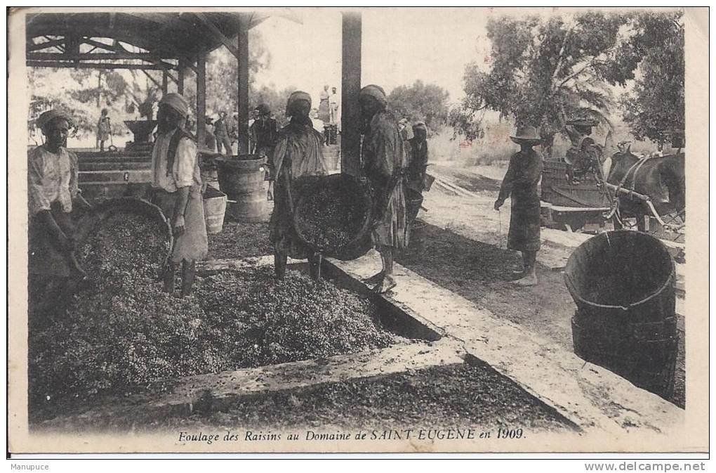 foulage des raisins au daumaine de saint eugene an 1909