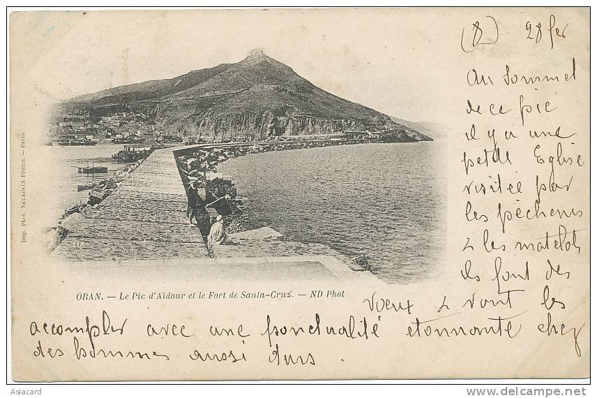 Oran  Le Pic d Aidour et le Fort de santa Cruz Legion Etrangere voyagé 1901 Alger Timbre