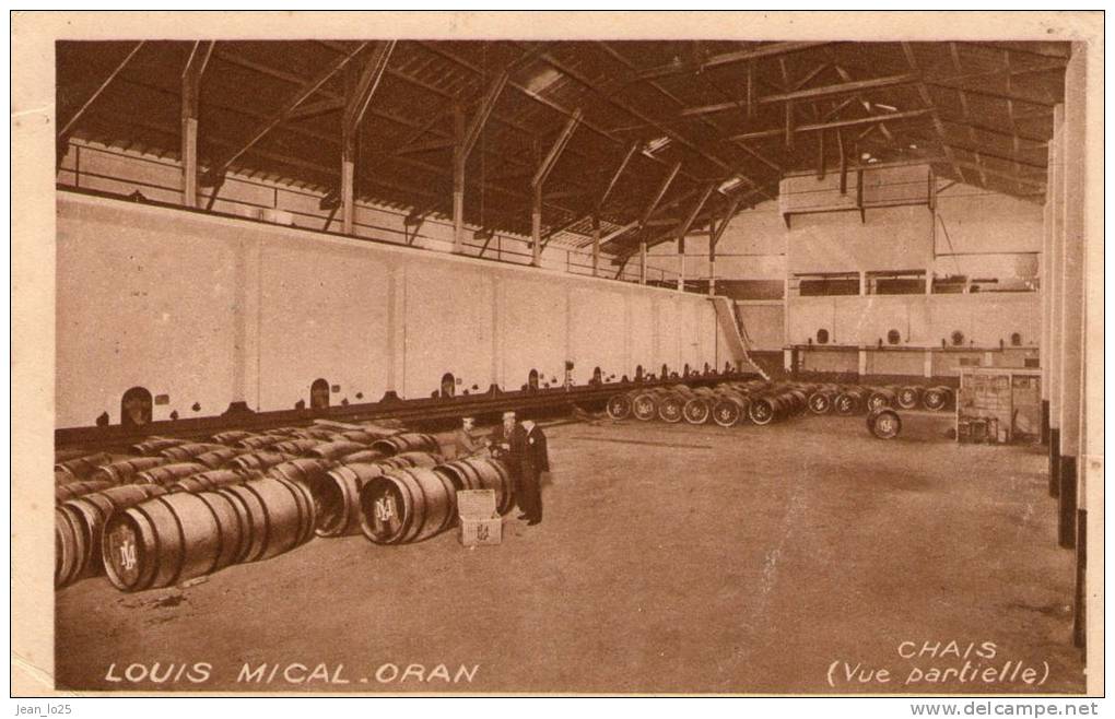(PP)  CPA   Oran vin Louis Mical  chais   (bonne etat)