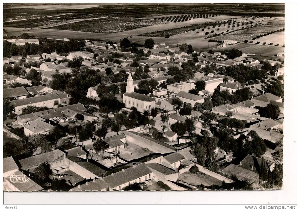 DESCARTES  ( ORAN) ,,,,,VUE   PANORAMIQUE    AERIENNE,,,,,VOYAGE 1956,,,,