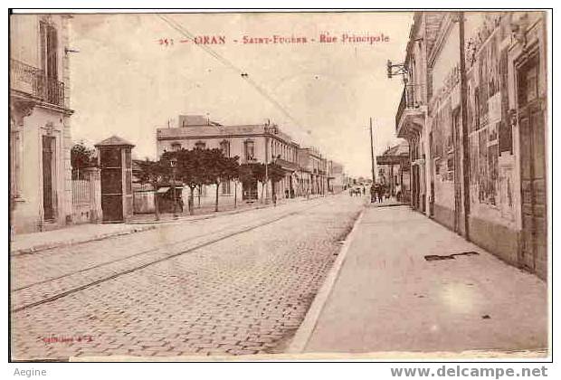 ALGERIE - ref no 199- oran -  saint eugene- rue principale - bon etat