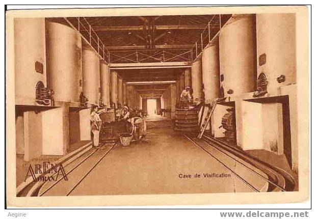 ALGERIE - ref no 165- centenaire de l algerie - cave de vinification-impr moderne nantes-paris-oran  - bon etat -