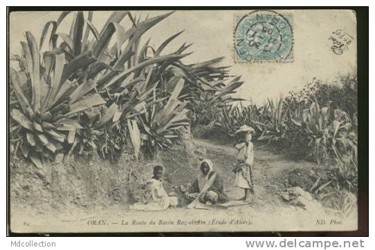 ALGERIE ORAN /  La route du Ravin Raz El Aïn