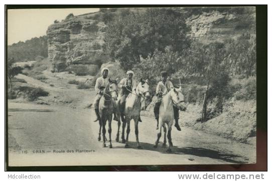 ALGERIE ORAN /  Route des planteurs