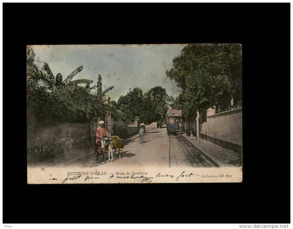 87 - ENVIRONS D'ORAN - Route de Gambetta - ane
