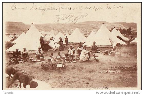 ORAN - Souvenir d' ..., Femmes sénégalaises venue à Oran pour le Sud - ETHNOLOGIE - Carte photographique