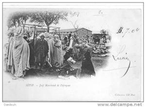 ALGERIE / FL / SETIF, Marchand Juif de défroques, (thème JUDAICA), Coll ND Photo N° 28; ANIMEE