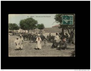 21 SETIF - Marché aux Bourriquots - ane