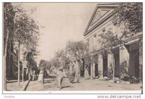 SETIF 16 LA RUE SILLEGUE (ANIMATION)