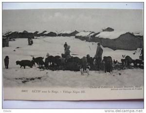 Setif sous la neige Village nègre  III Troupeau chevres Cliché Mamain Sétif  Goat
