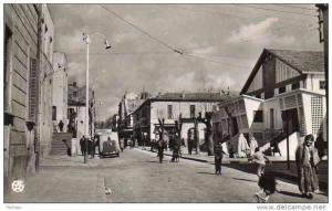 AFRIQUE. ALGERIE. SETIF. Vue sur La Rue Cardinal Lavigerie. Carte Dentelée.
