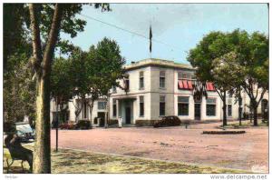 AFRIQUE. ALGERIE. SETIF. Vue sur L'Hôtel de Ville. Carte Dentelée.