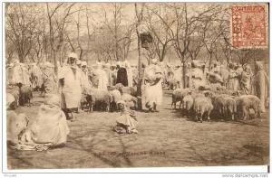 ALGERIE  SETIF  marché arabe .................... 330-248