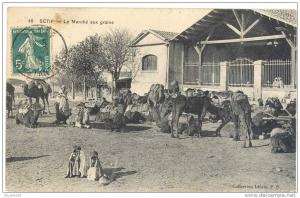 CPA - SETIF -ALGERIE-  LE MARCHE aux GRAINS - édit; I.P.S n°40- T.B PLAN Animé -carte en TRES BEL ETAT (voir scan)