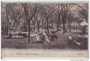 93,SETIF, Le Marché Indigéne