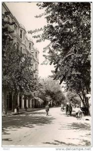 SETIF - Avenue Georges Clemenceau
