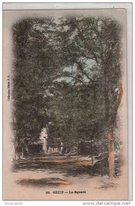 algérie  sétif le square