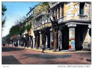 SETIF L'Avenue Clemenceau