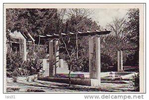 Algérie - Z886 - Sétif - Jardin d'Orléans - Pergola - bon état général