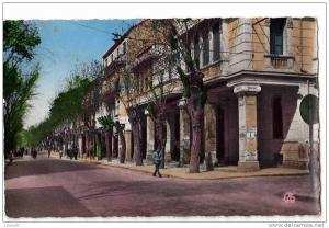 CPA     ALGERIE    SETIF      L AVENUE CLEMENCEAU  1957      ANIMEE
