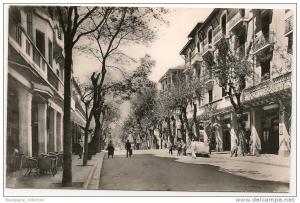Sétif - Avenue du 8 Mai 1945 - CPSM petit format bords droits