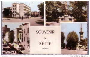 Algérie - Sétif - Souvenir de Sétif (voitures, automobile, Jeep)