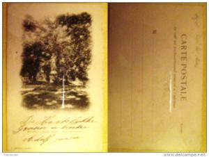 Algier Sidi bel Abbes Jardin Public Statue la Caresse ungeteilt