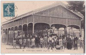 Sidi Bel Abbès.- (Algérie)  La Poissonnerie - (belle animation)